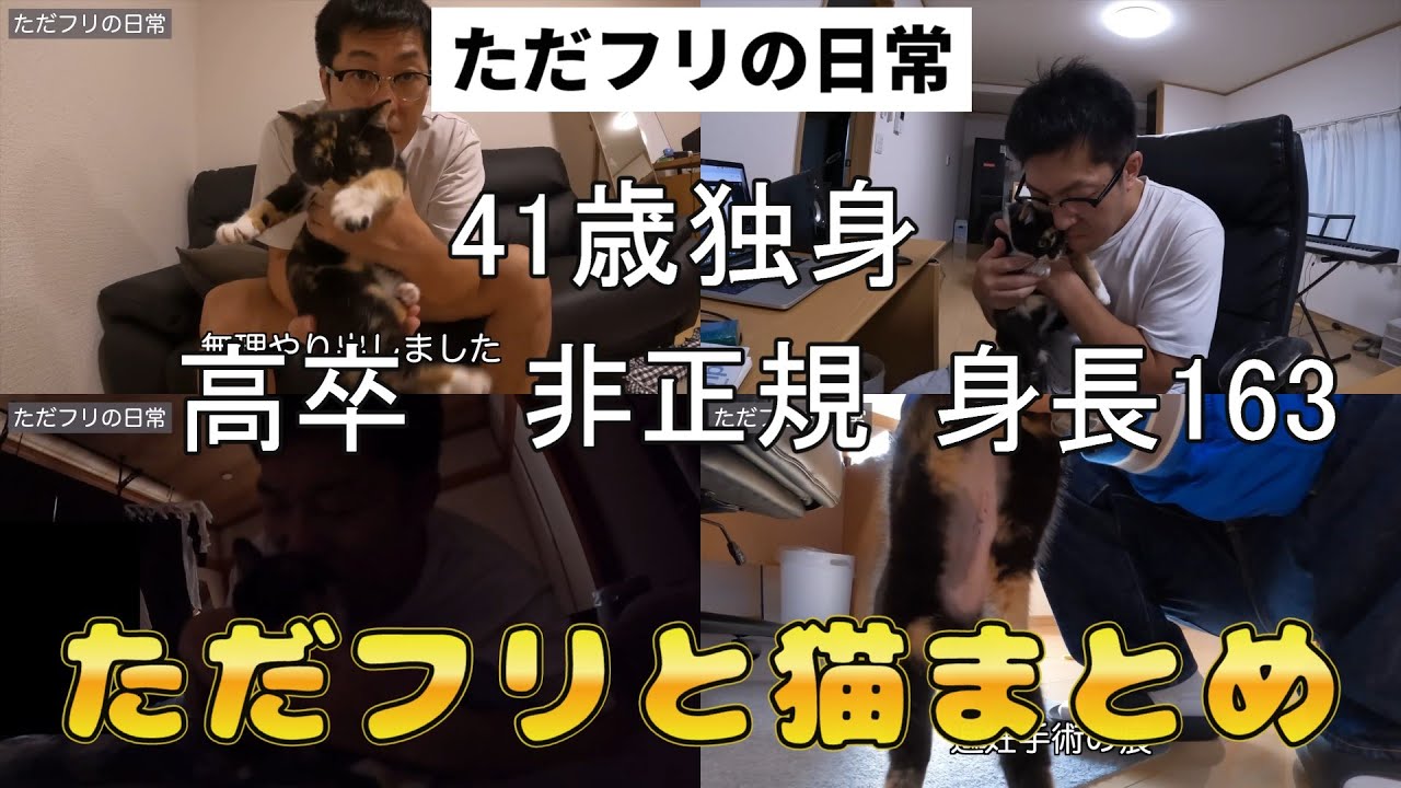 ただフリと猫を飼い始めてから避妊手術するまでの動画総集編