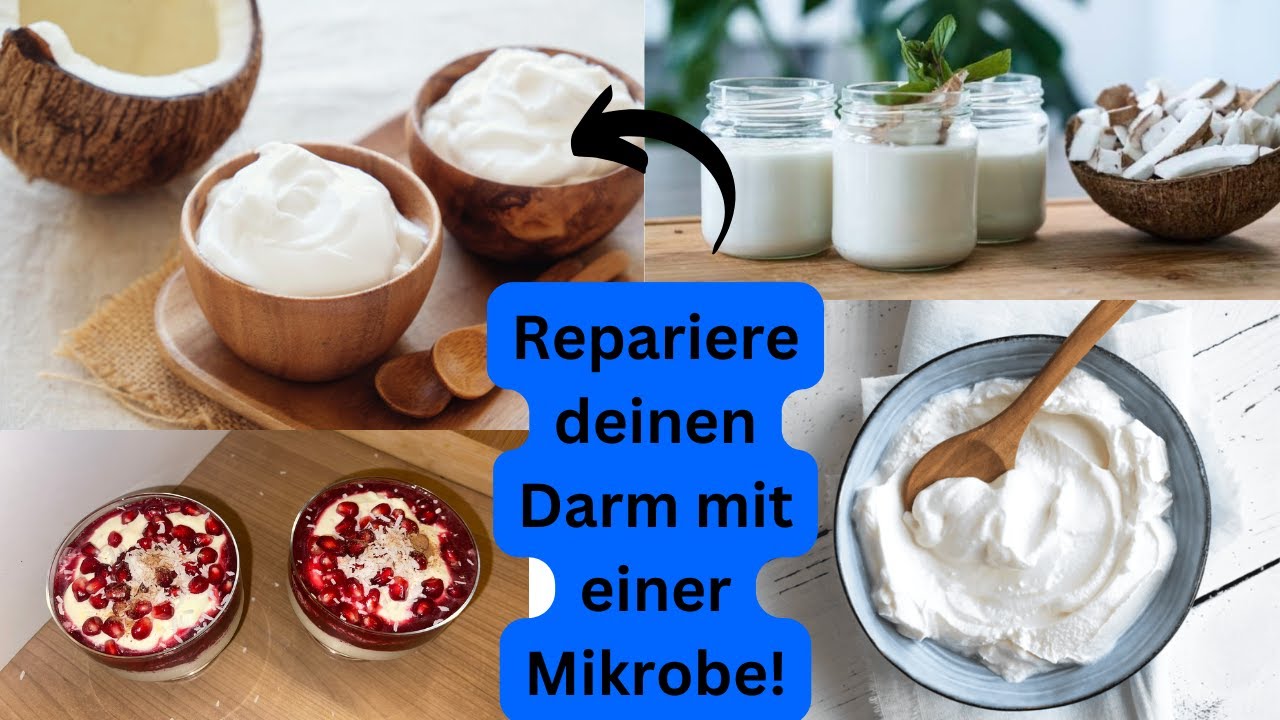 Kokosjoghurt mit Spezialprobiotikum L-Reuteri herstellen!