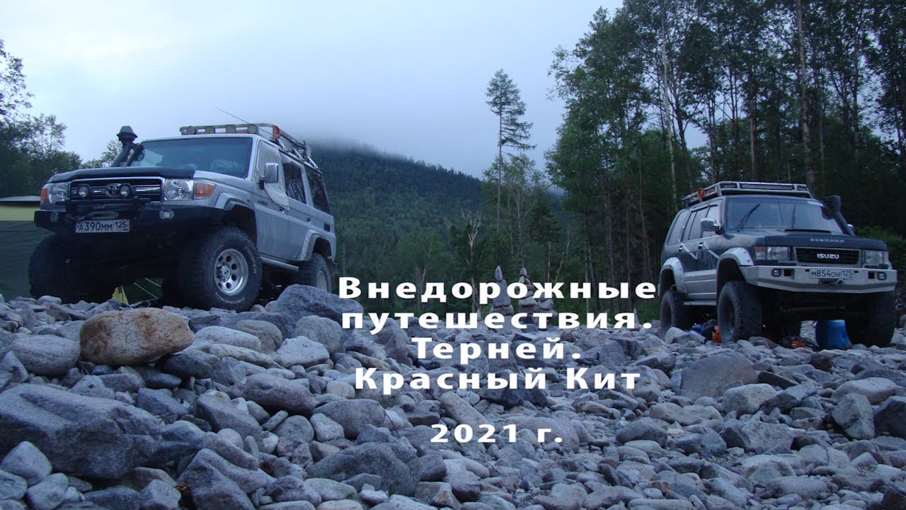 Терней Красный кит 2021