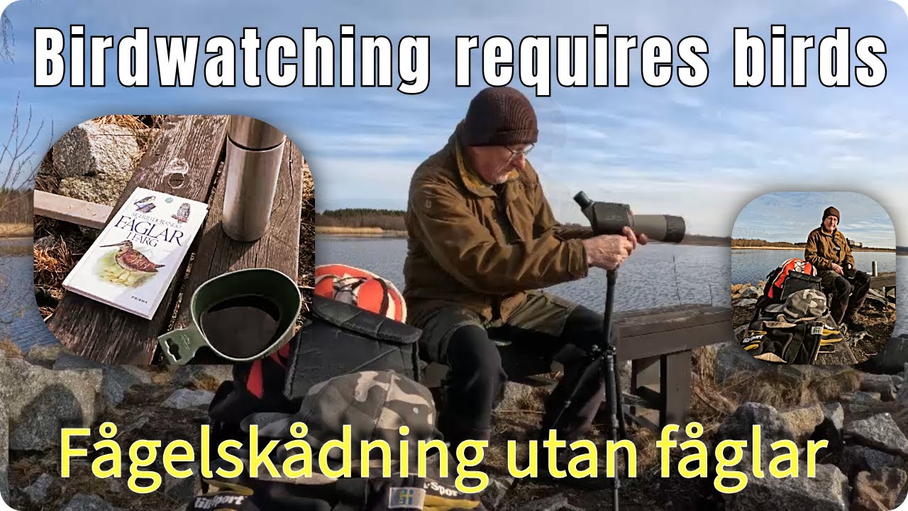 Birdwatching requires birds or Fågelskådning utan Fåglar i Rundvik