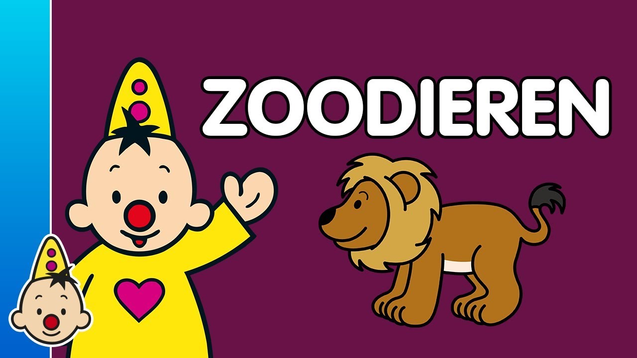Zoodieren - Leren met Bumba