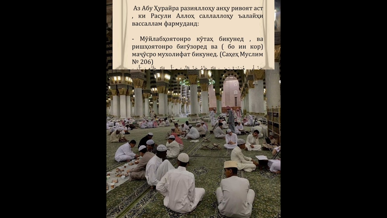 САВОЛ ЧАВОБ?? ШЕЙХ АБУ МУХАММАД МАДАНИ ХАФИЗАХУЛЛОХ