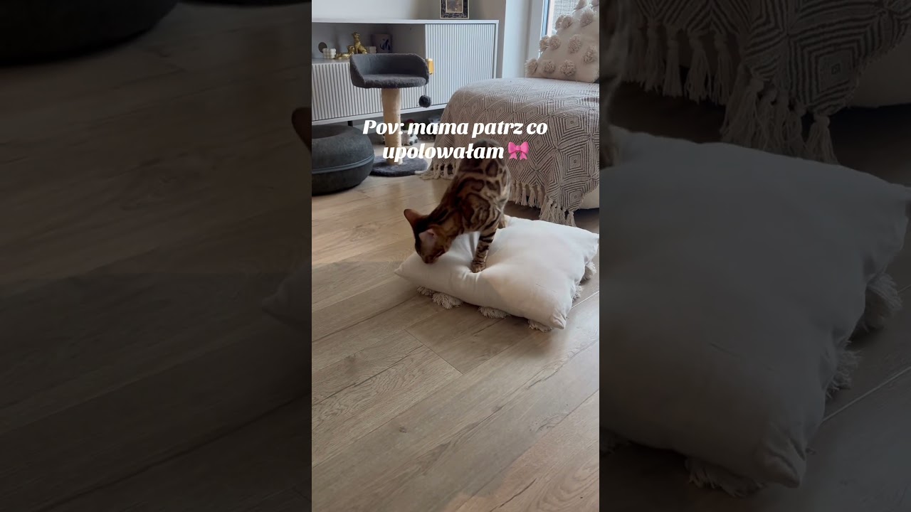 Łowy zakończone sukcesem ✨🥰