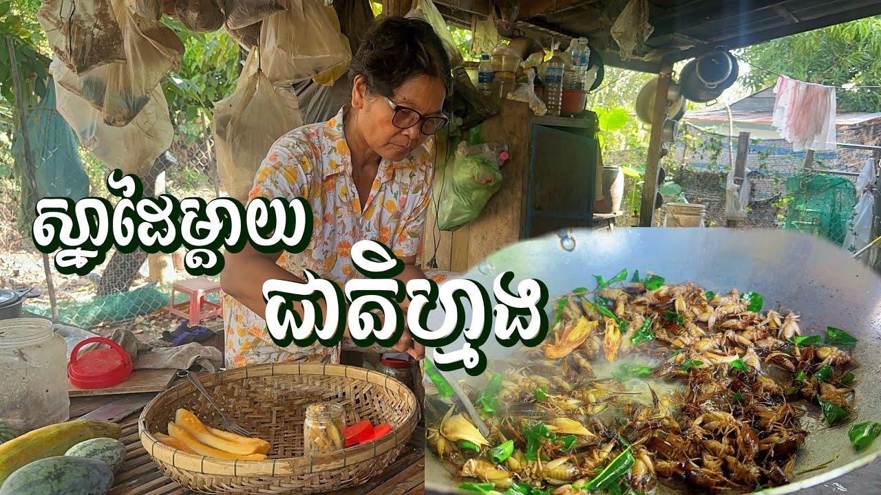 ថ្ងៃនេះម្ដាយខ្ញុំមានម្ហូបពិសេស! ឆ្ញាញ់មាត់ហ្មង!