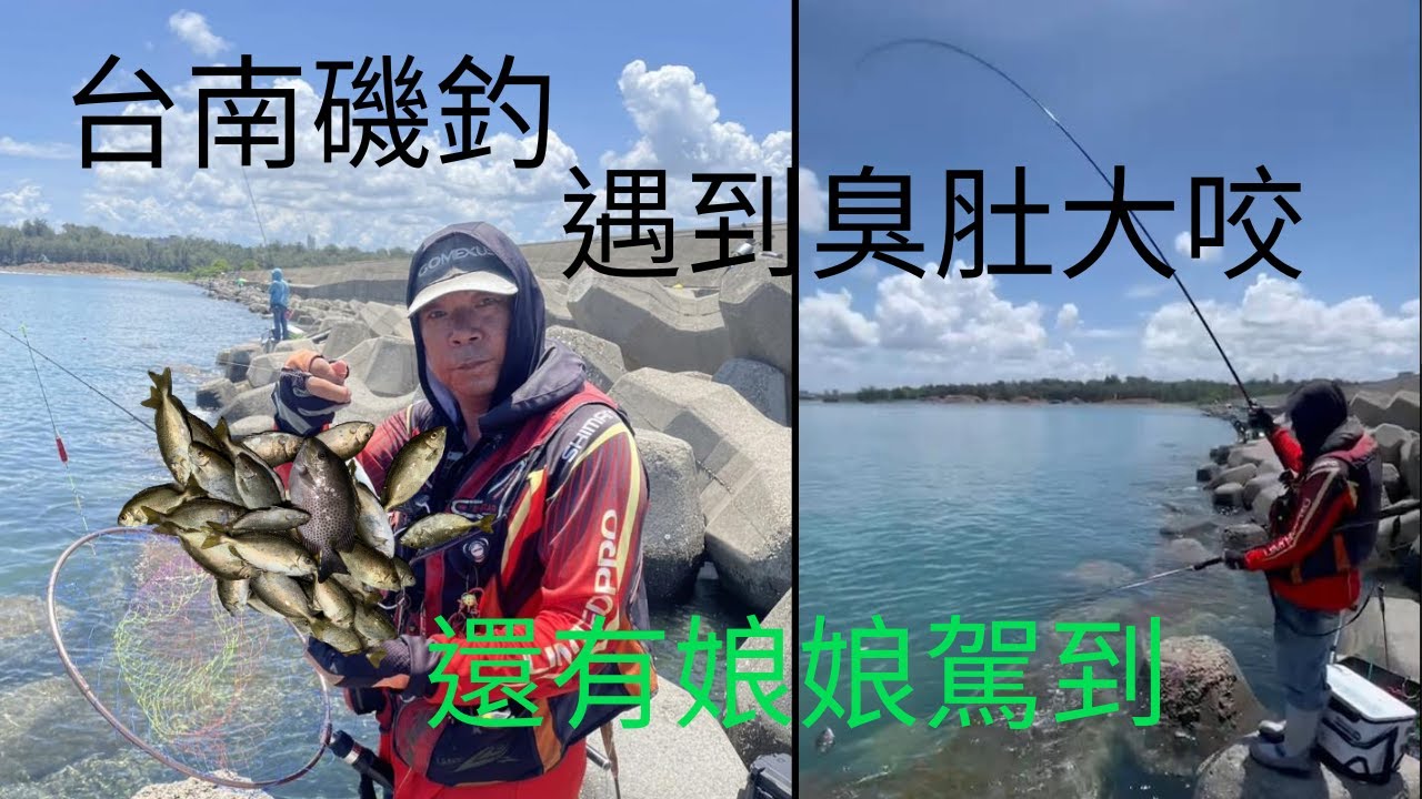 台南釣魚很久沒來的釣場意外的魚兒特別捧場還有娘娘來助陣  #臭肚  #練餌 #蘇信州 #fishing #クロダイ #감성돔 #ตกปลา #@Su16888
