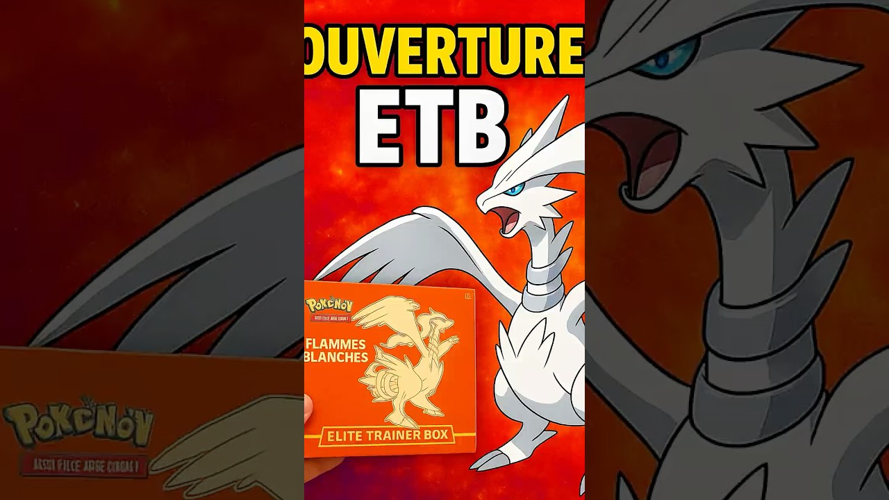 Ouverture Pok&eacute;mon ! ETB Flamme Blanche 🤍🔥 #cartepokemon #pokemon #tcgpokemon #tcg