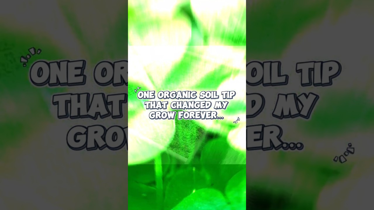 One organic soil tip that changed my grow forever&hellip;