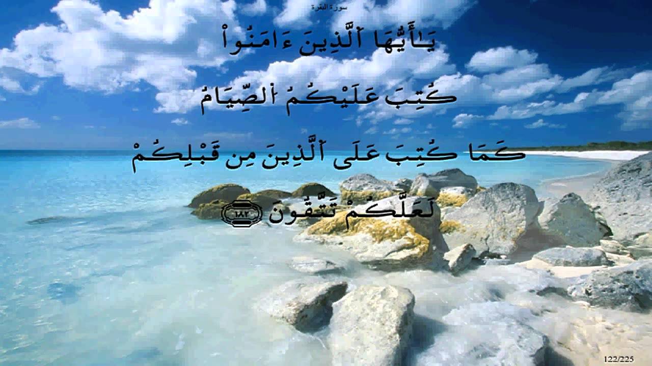 سورة البقرة  * قالون * أبو سنينة
