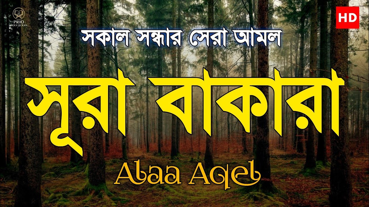 প্রতিদিন শুনুন আবেগময় কন্ঠে সূরা বাকারা তিলাওয়াত | Surah Al Baqara | Heart touching recitation |