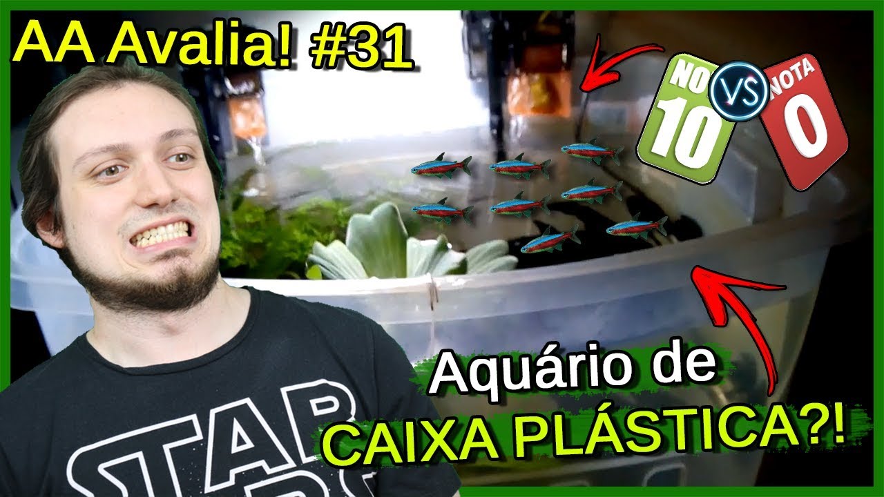Avaliei um Aquário de Caixa PLÁSTICA de um Inscrito! - AA Avalia #31