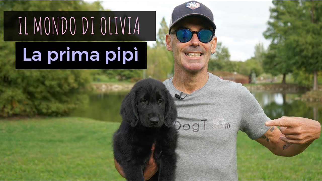 La prima pipì, il mondo di Olivia