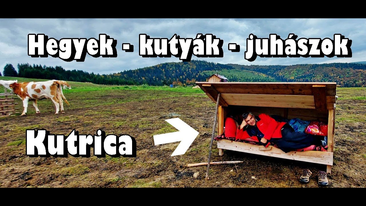 Esztenákat kerestünk fel az őszi Székelyföldön, a Kászonok környékén és kipróbáltunk egy kutricát!