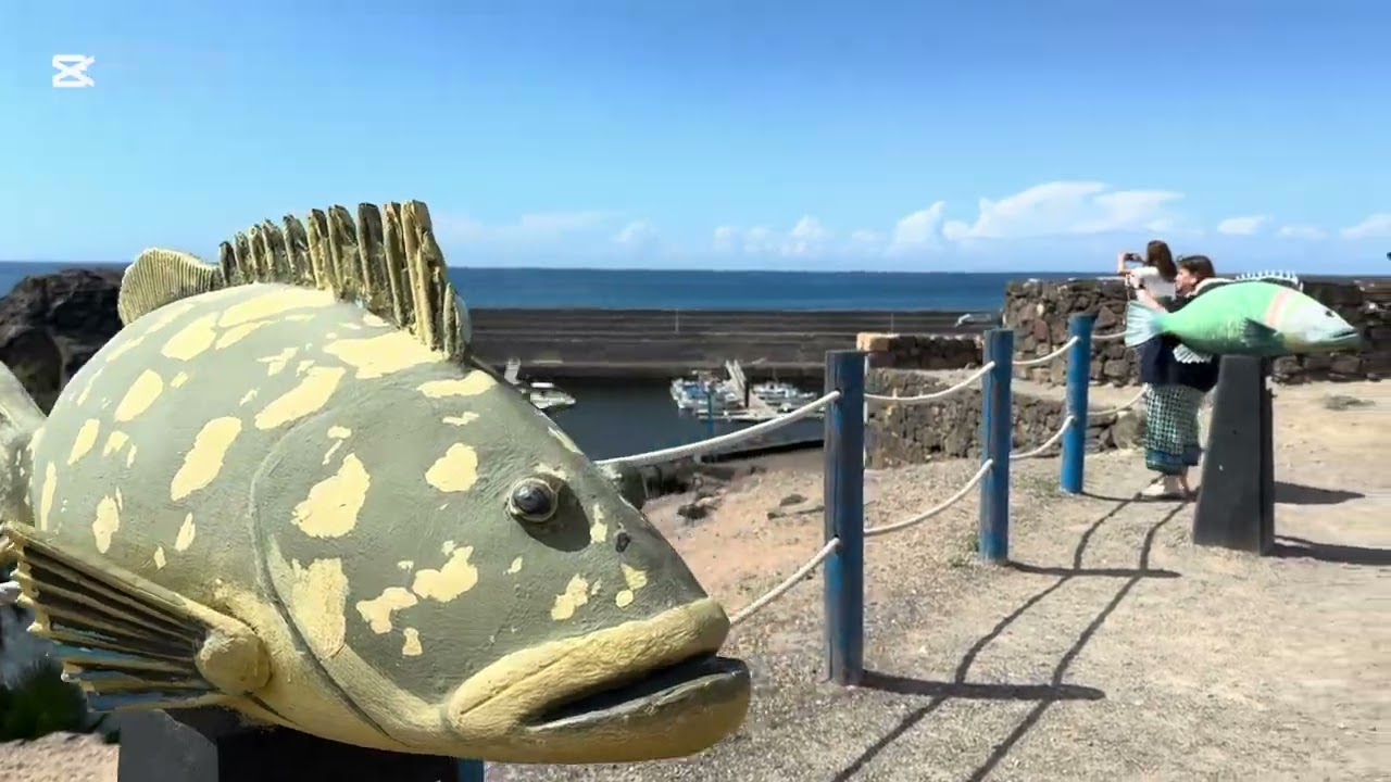 Fuerteventura in February