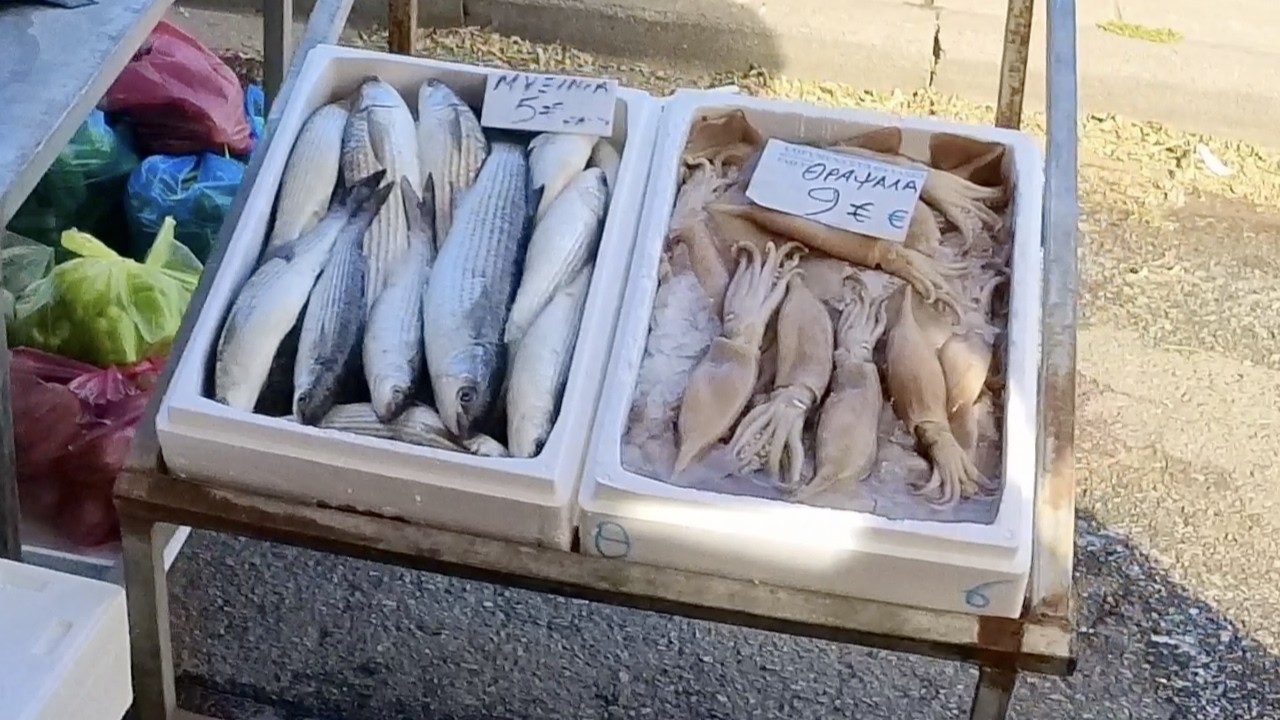 Walking through a Saturday market in Katerini - Greece 🇬🇷 4K