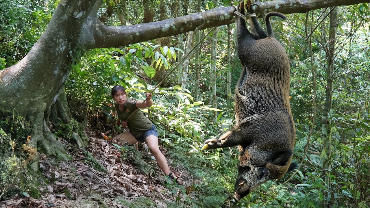 100 days of survival in the wild, trapping skills, catching wild boars, linh t&acirc;n Building