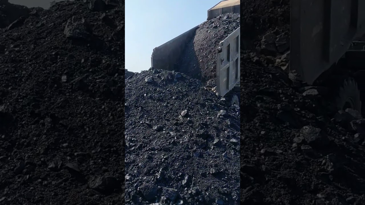 Cil Nec Coal Margherita Assam