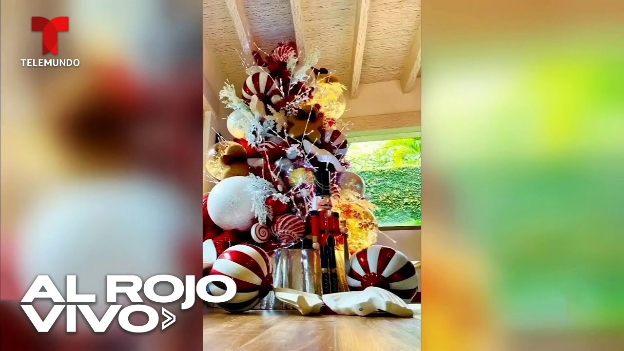 Eugenio Derbez y otros famosos dejan sus árboles de Navidad en manos de una mexicana