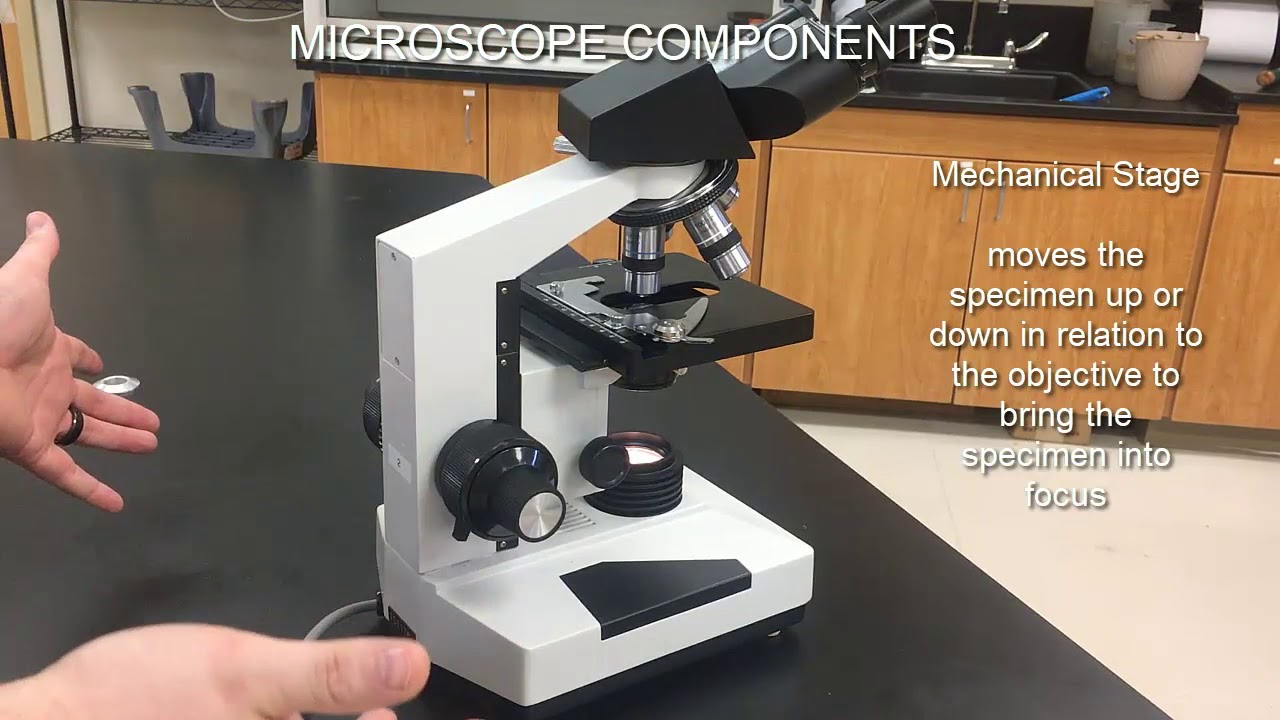 Microscopes Video Tutorial