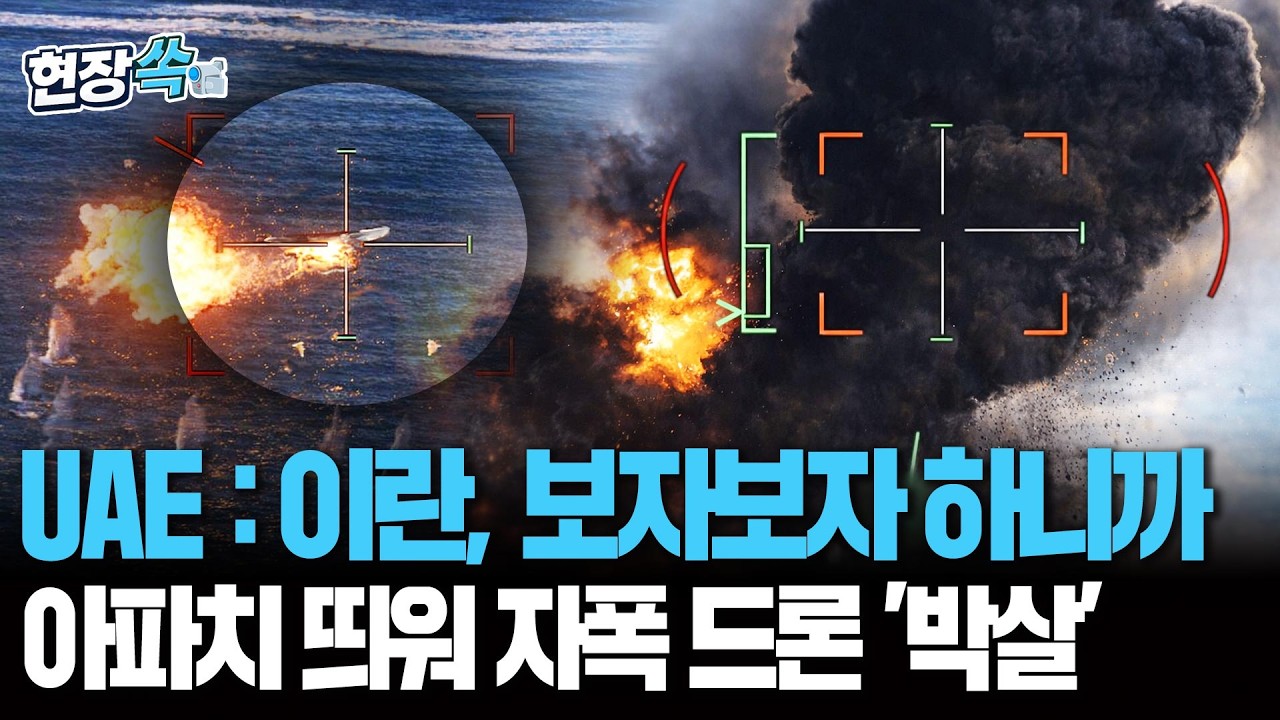 UAE : 우리는 뭐 맞고만 있을줄 알았나…이란 드론 113대 '산산조각' 낸 영상 공개 [현장쏙] / 연합뉴스TV(YonhapnewsTV)