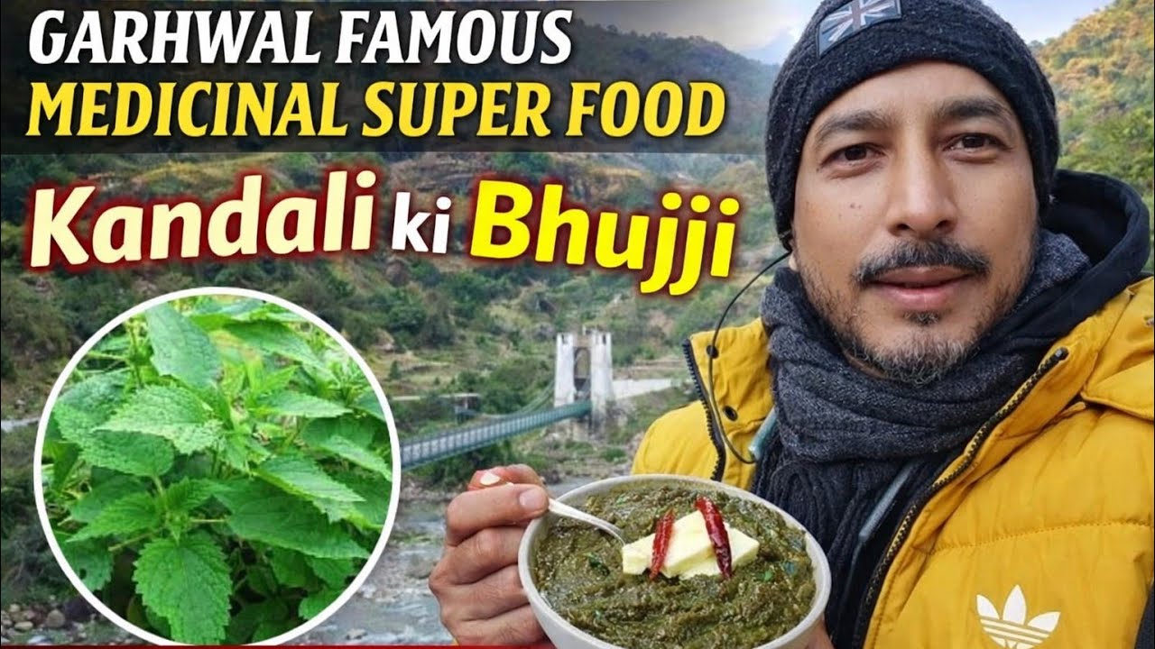 गढ़वाली 🏔प्रसिद्ध औषधीय🌱 कंडाली 🌿 की भुज्जी! 🍲 