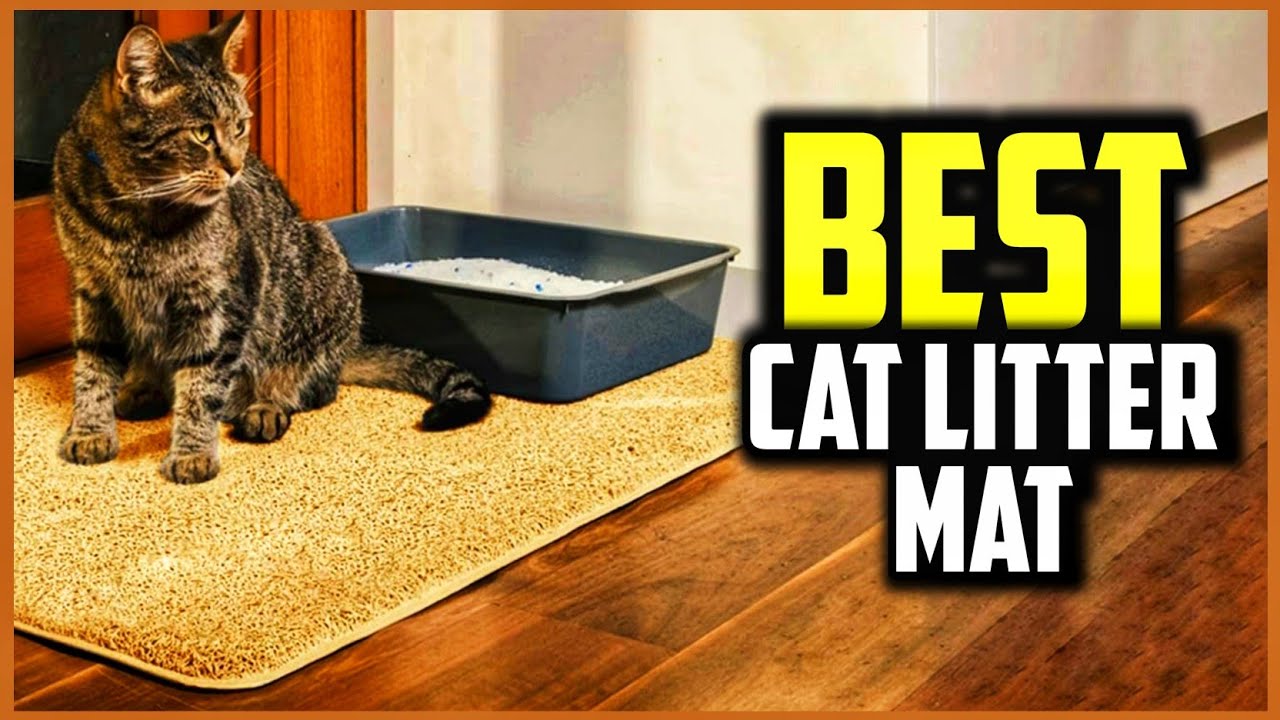 ☑️ Top 5 Best Cat Litter Mat of 2025 : Which one should you buy?..😍✨