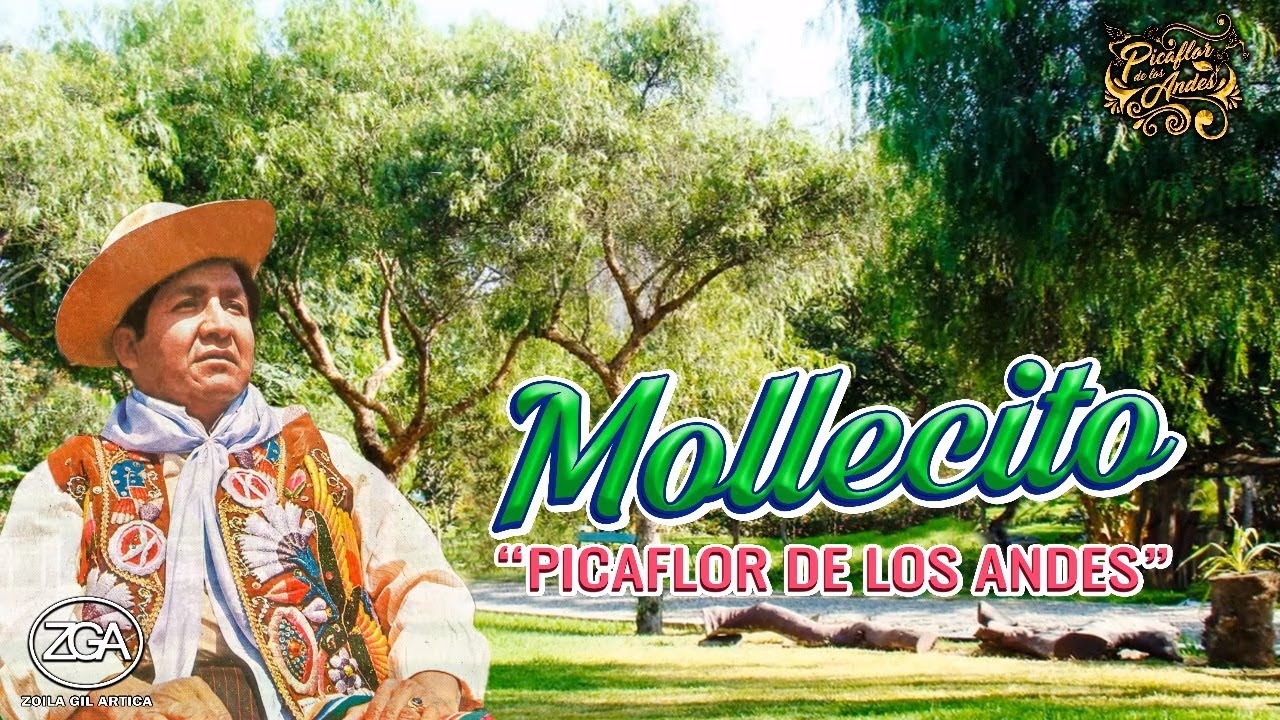 Picaflor de los Andes - MOLLECITO
