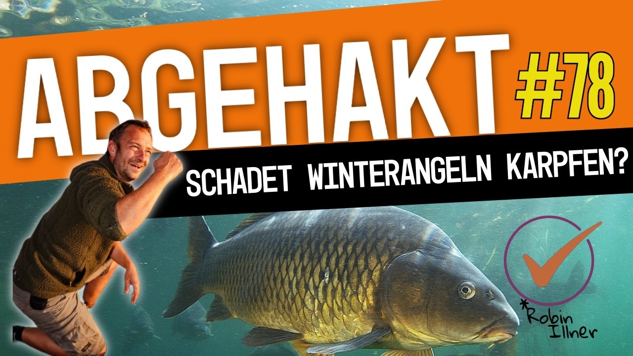 ABGEHAKT #78: 💀 🎣 SCHADET WINTERANGELN KARPFEN?🐟