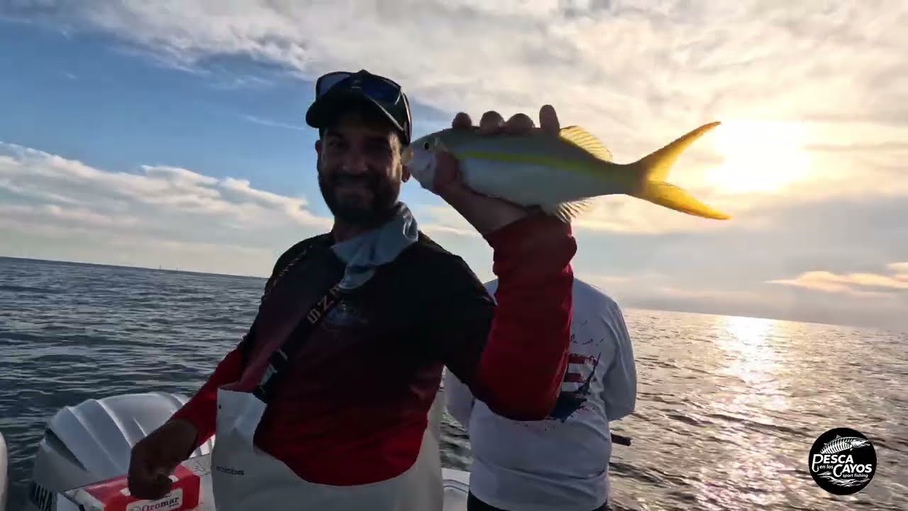 “¡NO PARABAN DE PICAR! Yellowtail LIMITES en los Cayos 🔥🐟”