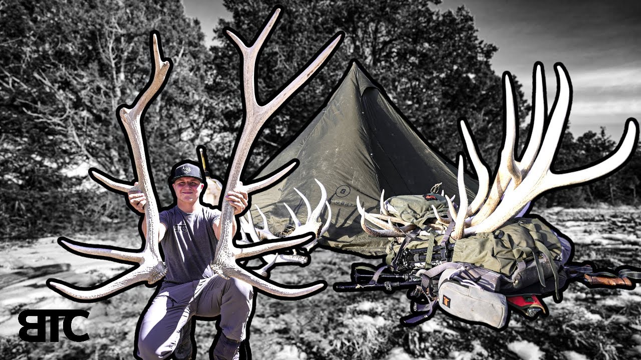 BIG WHITE SETS | SHED HUNTING 2025 | BTC 4K
