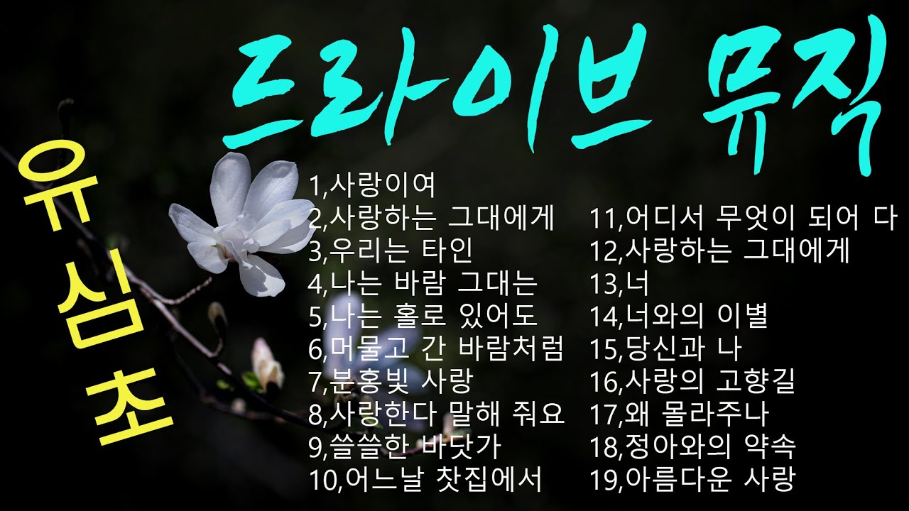 드라이브 뮤직(유심초))~사랑이여,우리는타인,나는바람그대는해바라기,나는홀로있어도,머물고간바람처럼,분홍빛사랑,사랑한다말해주세요,쓸쓸한바닷가,어느날찻집에서,어디서무엇이되어다시만나랴,너