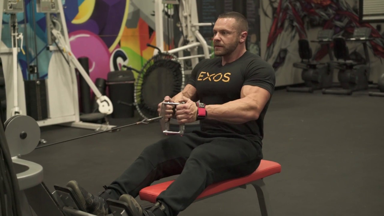 How to do a Seated Cable Low Row for a detailed back | Tiger Fitness