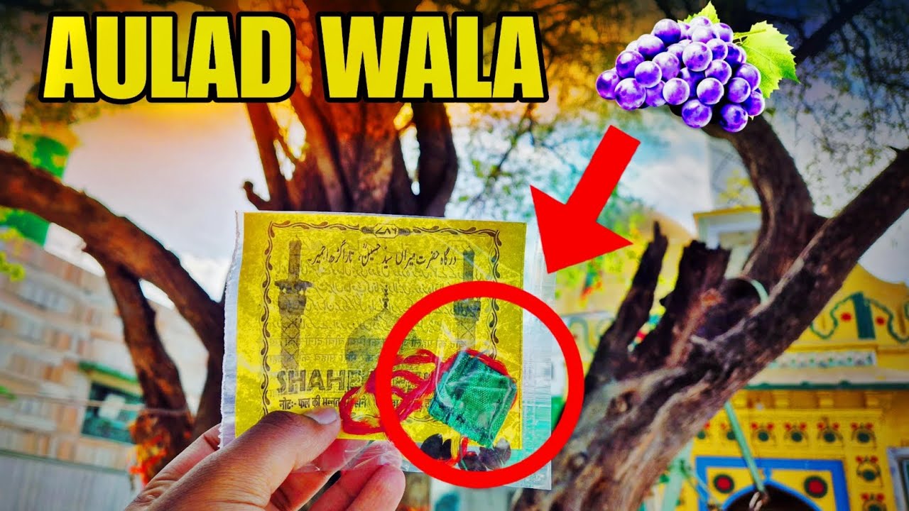 AULAD WALA FAL - yaha milta hai / Ajmer dargha Vlog #dargha #ajmerdargha