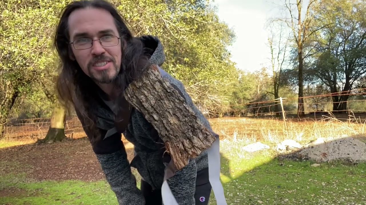 Making fallout wood armor, will it work?🤔