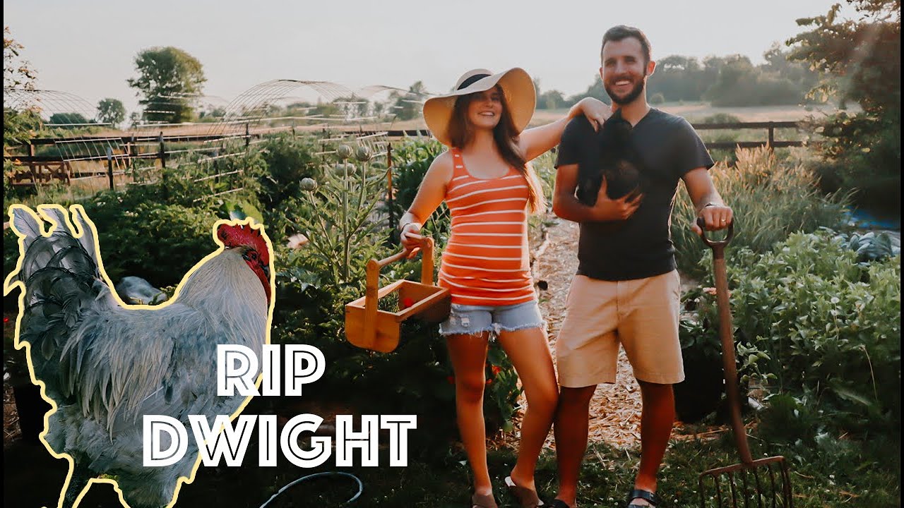What Life is Really Like on a Small Farm