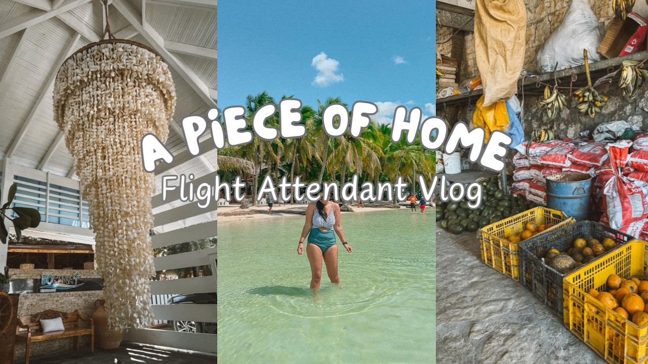 A Love Letter to the Dominican Republic 🇩🇴 | My Santo Domingo Layover as a Flight Attendant | Vlog