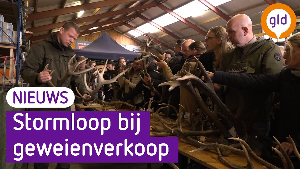 Iedereen wil het gewei van een edelhert kopen