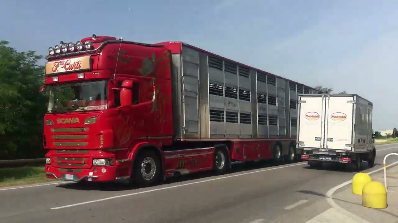 Enjoying the various models of trucks on the road