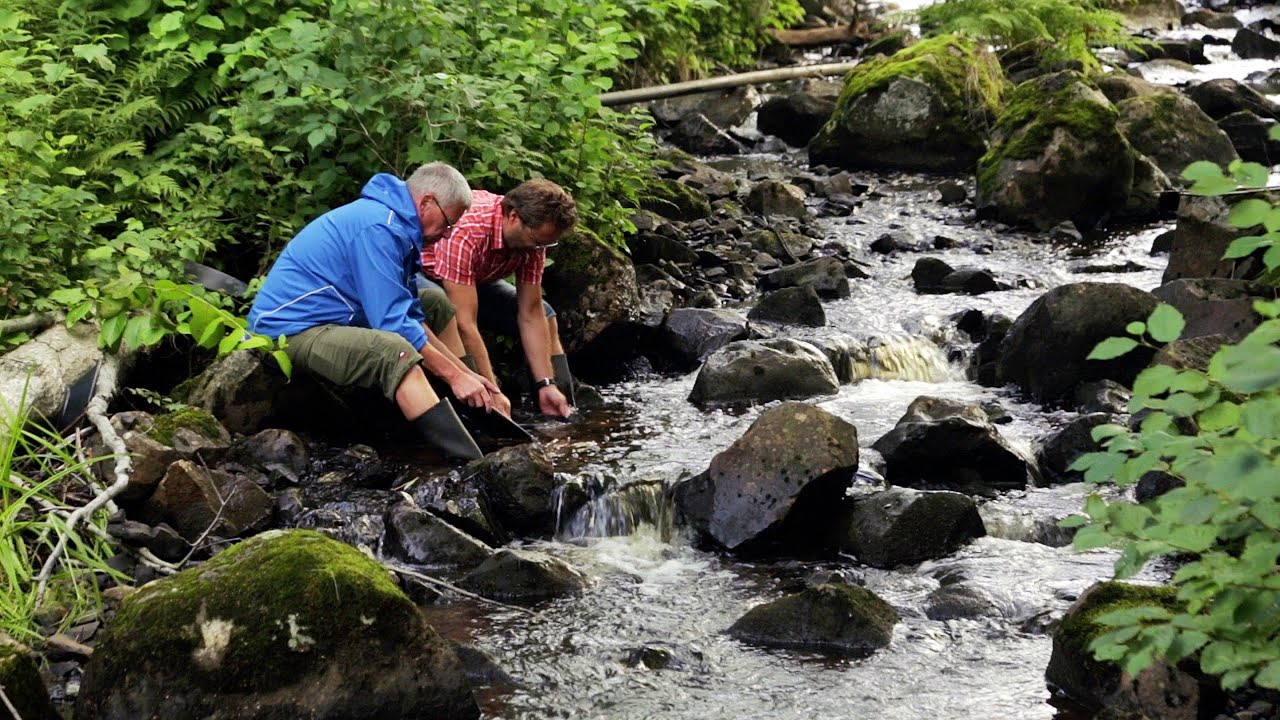 Nora bjuder på guldvaskning och glass – Gone Camping Weekend i Västmanland