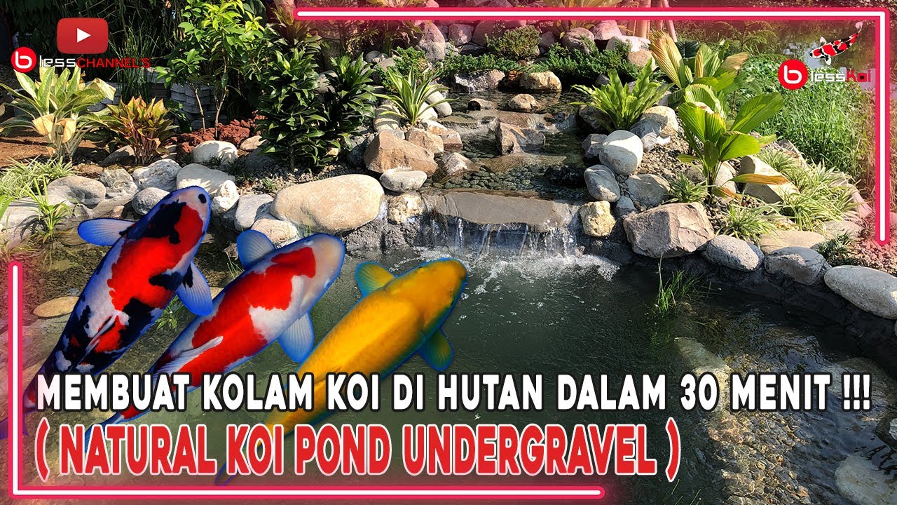 MEMBUAT KOLAM KOI DI HUTAN DALAM 30 MENIT❗❗❗( NATURAL KOI POND UNDERGRAVEL )