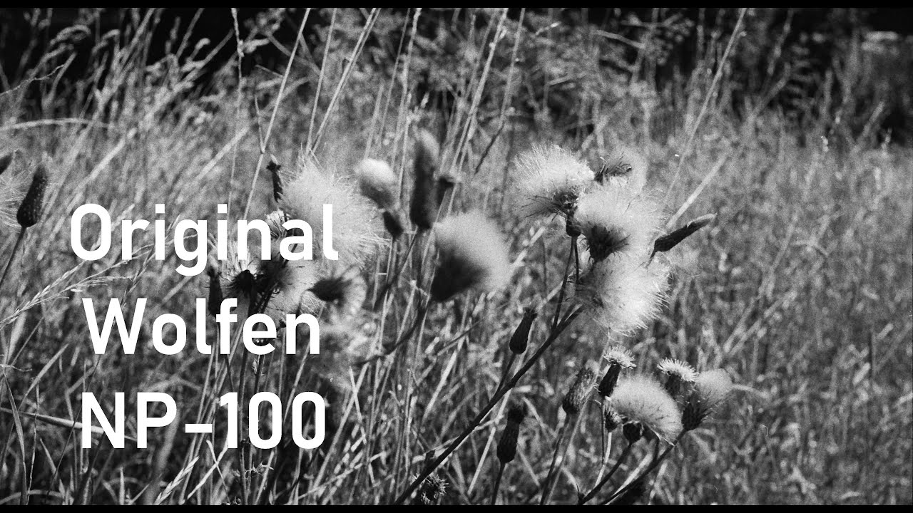 ORWO NP-100 und UN 54