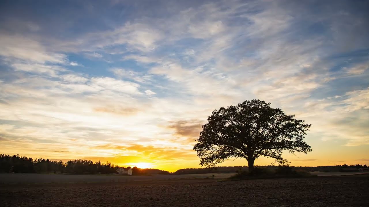 Спой мне мелодию - Дэниел Дивайн