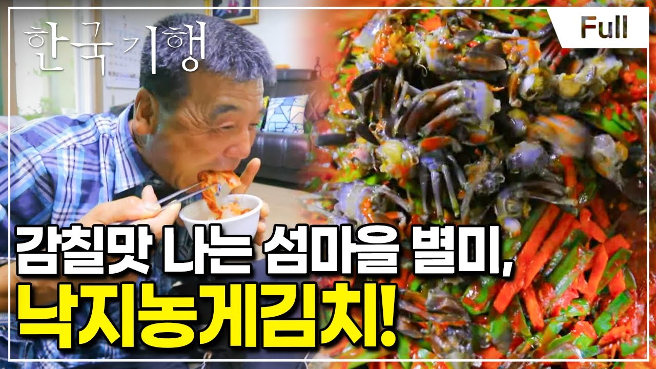 [Full] 한국기행 - 여름 김치를 아시나요? 제5부 섬마을 김치 맛보섬