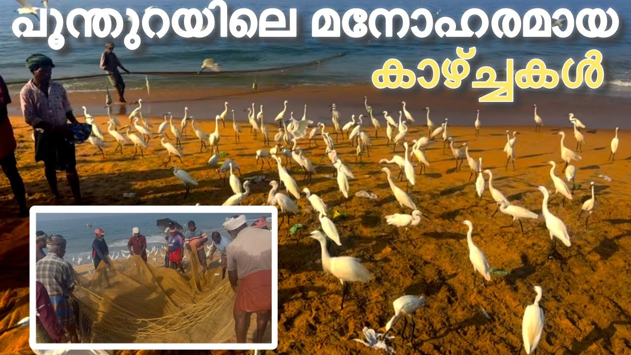 മനോഹരമായ പൂന്തുറയിലെ കാഴ്ച്ചകൾ 