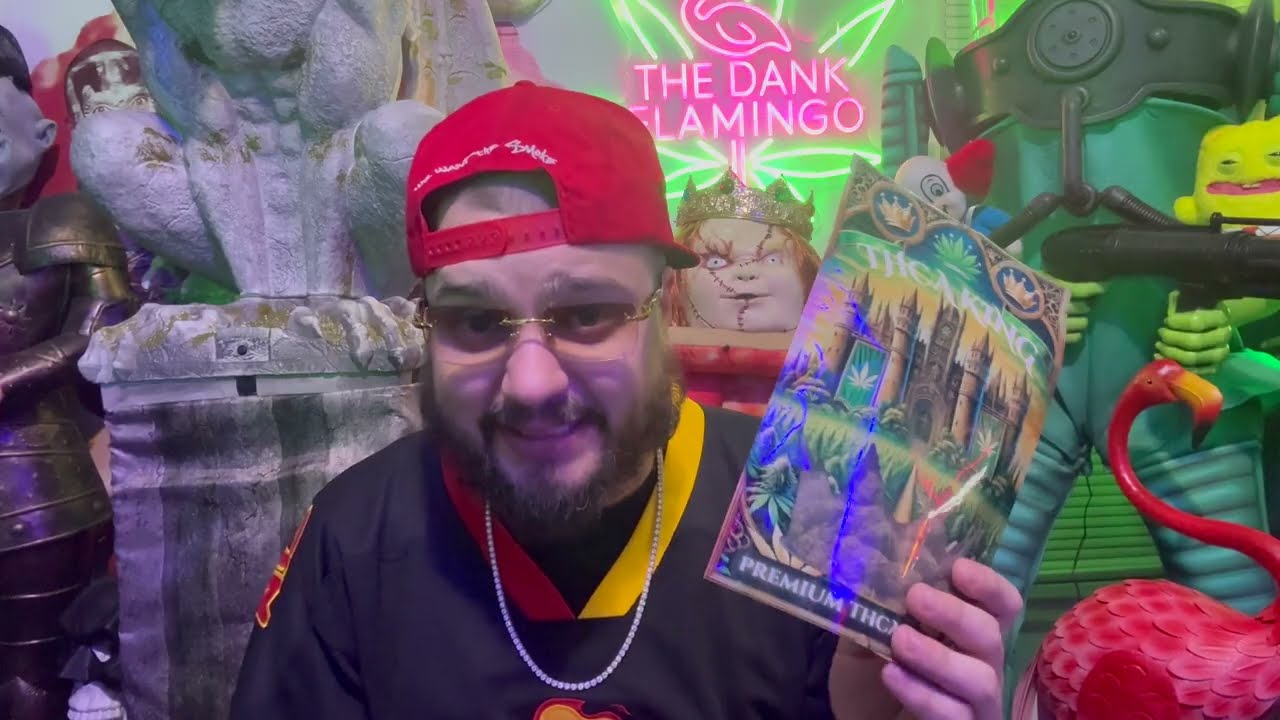 What Is The BEST Strain to BUY from THCA KING!? Let's Talk About It! The Dank Flamingo Review!
