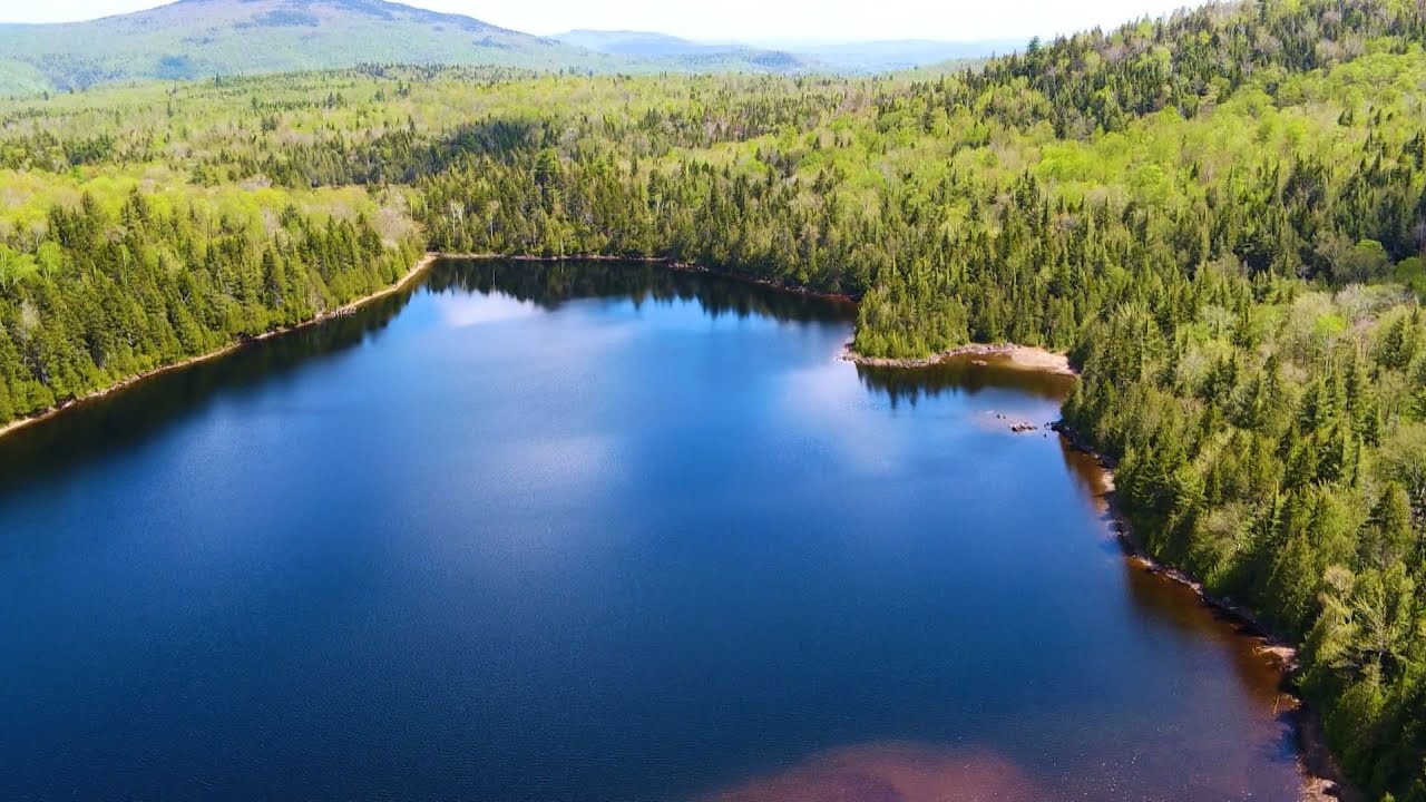 Maine town creates &lsquo;community forest&rsquo; to permanently protect public access to land
