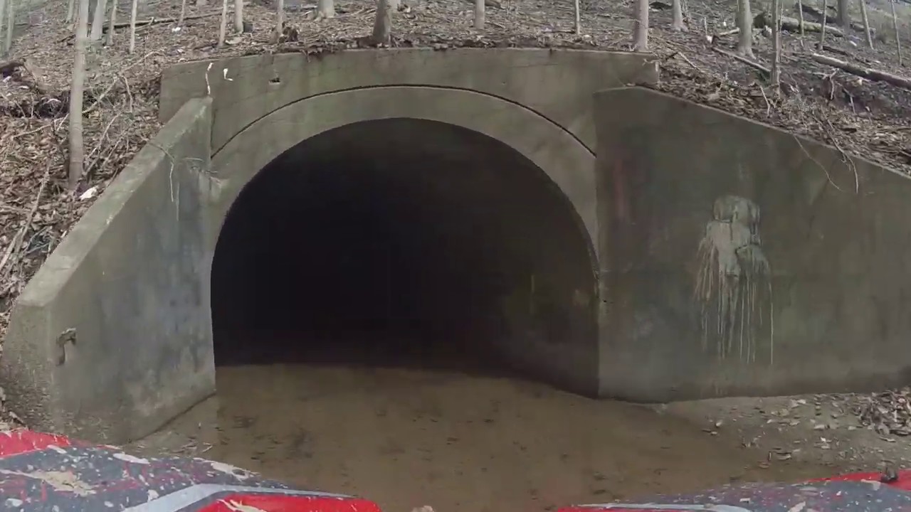 Ripping the Honda Talon 1000x in tight woods trails