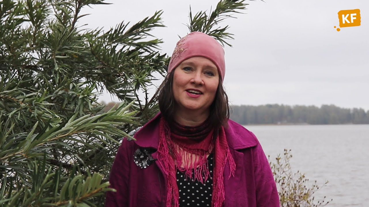 Yhdenvertaisuus ja tasa-arvo koulutuksissa: Osa 2 - Identiteetti, ennakkoluulot ja etuoikeudet