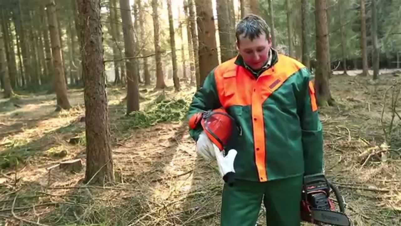 Milošova lesní školka 25. - Kácení stromů