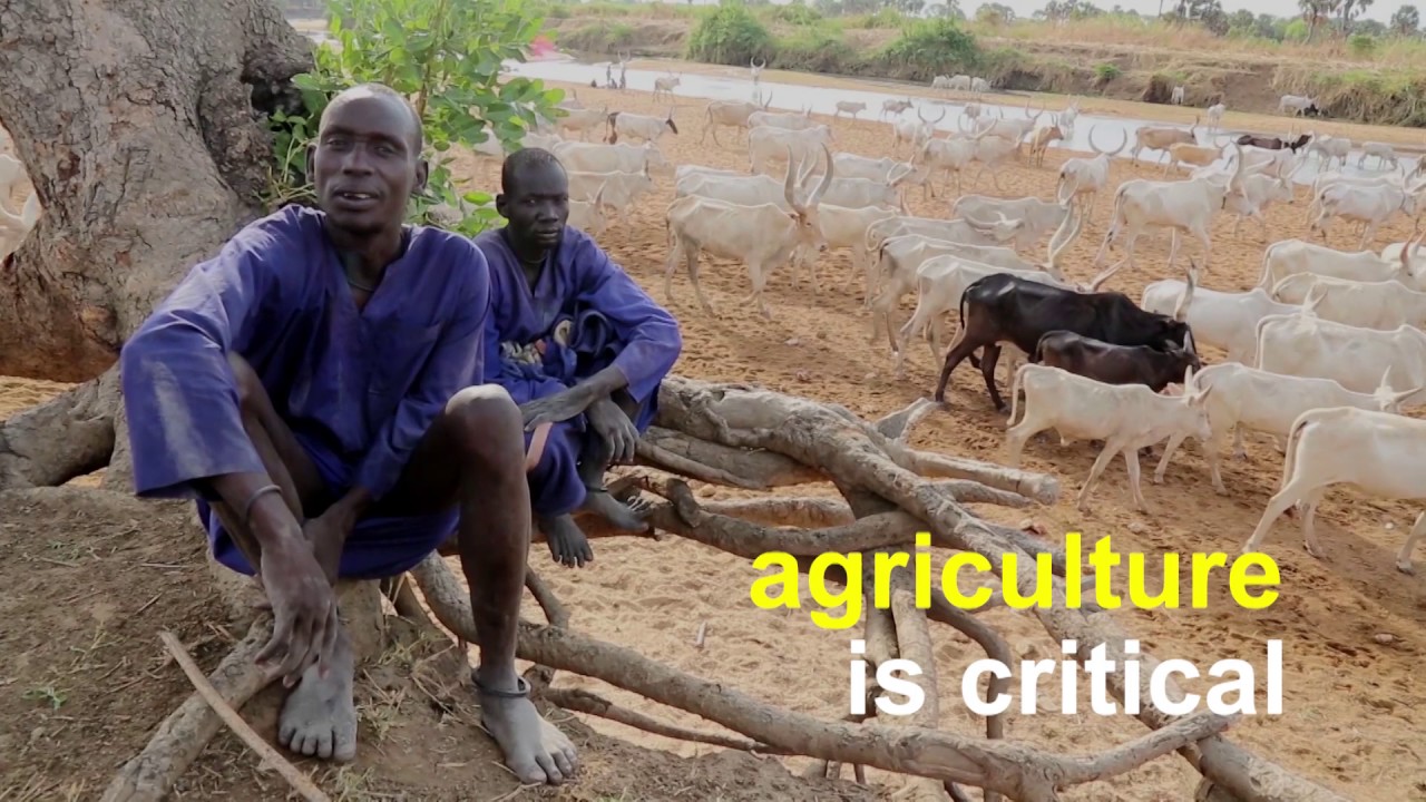 Saving Livelihoods saves lives - #UNFAO #FightingFamine in #Nigeria, #Somalia, #SouthSudan & #Yemen