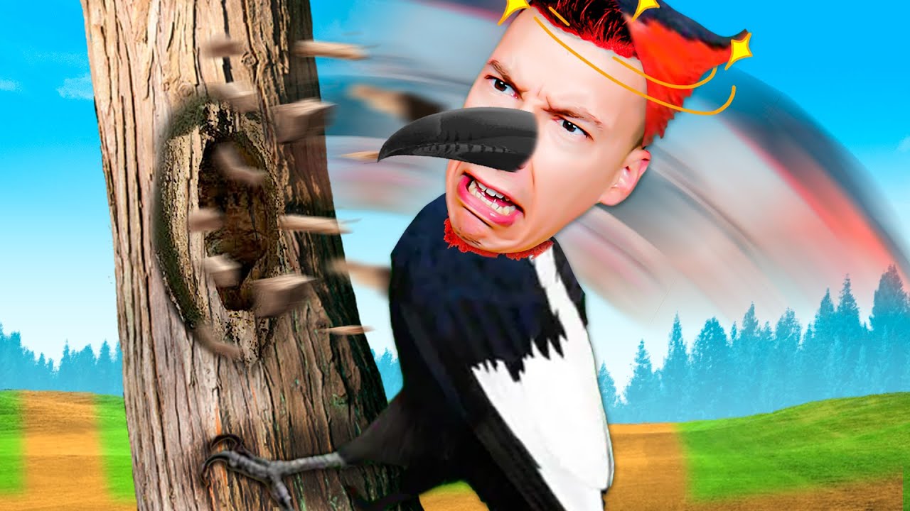 JE DEVIENS un WOODPECKER.. (Pivert)